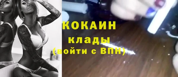 МДПВ Нея