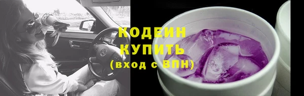 индика Надым