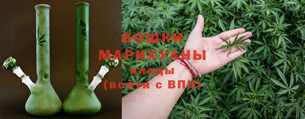 МДПВ Нея