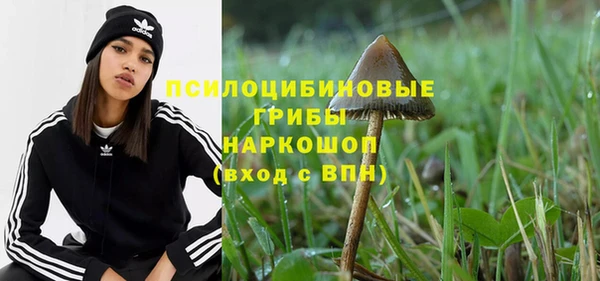 МДПВ Нея