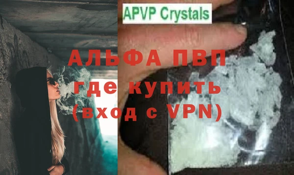spice Болотное