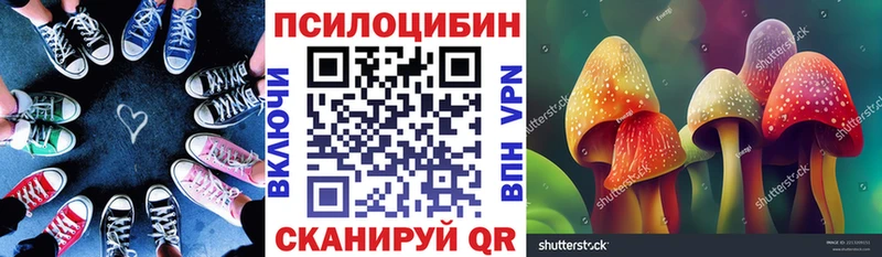 купить наркотик  Покачи  Псилоцибиновые грибы GOLDEN TEACHER 